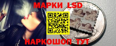 гидра Вязьма